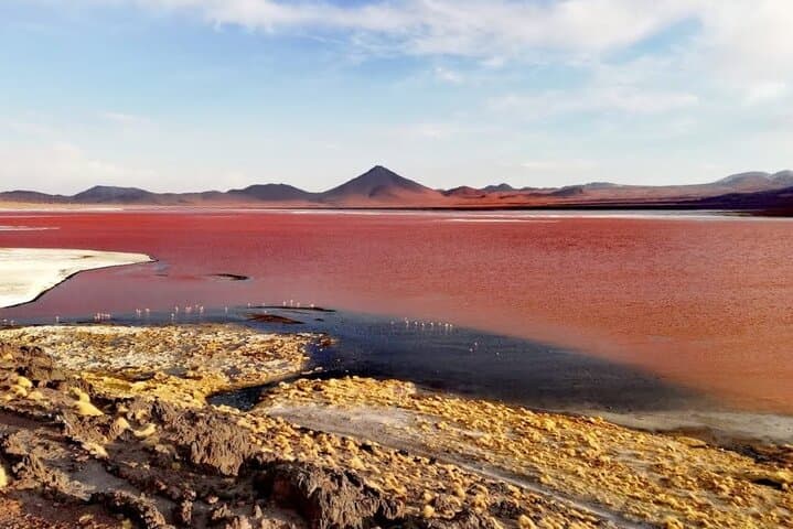 Red Lagoon & Lipez Full-Day Private Tour from Uyuni — Flamingos, Volcanoes, High-Altiplano Views photo 2