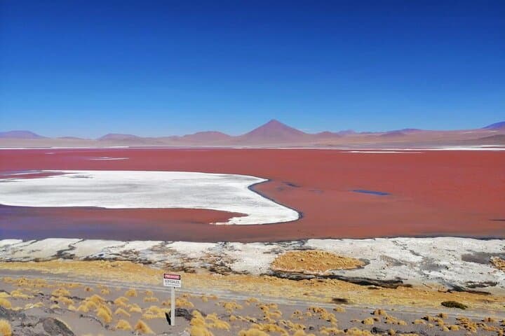 Red Lagoon & Lipez Full-Day Private Tour from Uyuni — Flamingos, Volcanoes, High-Altiplano Views photo 3