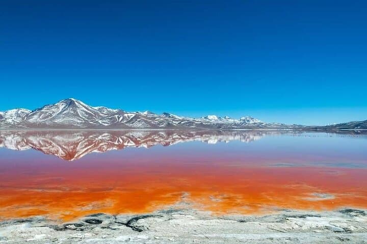 Red Lagoon & Lipez Full-Day Private Tour from Uyuni — Flamingos, Volcanoes, High-Altiplano Views photo 4