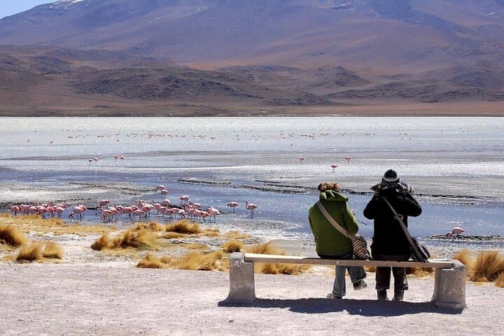 Salar de Uyuni & Laguna Colorada: 2-Day Private Tour from Uyuni