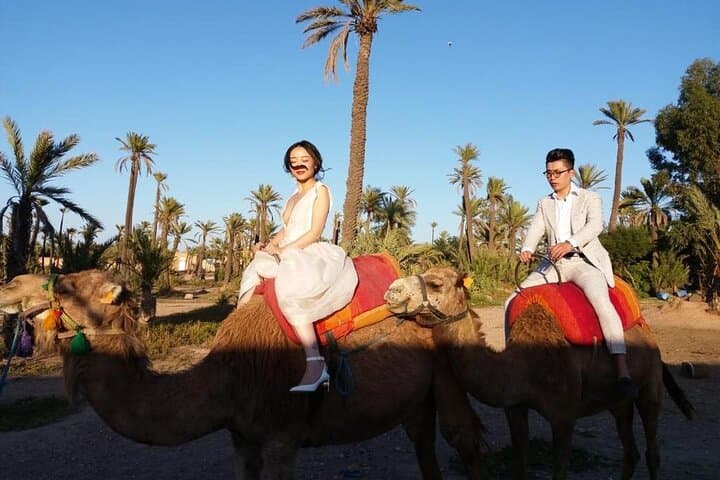 Agafay Desert Camel Ride: 1-Hour Camel Trek from Marrakech