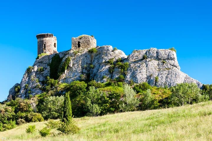 Private Full-Day Chateauneuf-du-Pape Wine Tour from Avignon