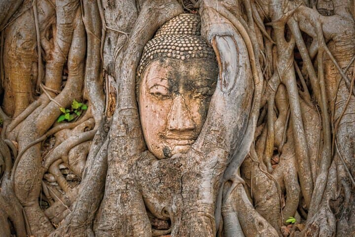 Ayutthaya Sunset Boat Tour: Temples, Chaophraya Market & Riverside Sunset
