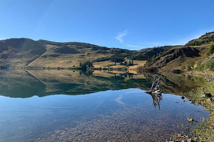 Full-Day E-Mountain Bike Tour on a Patagonian Farm near Coyhaique