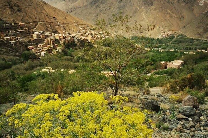 Atlas Mountains & Agafay Desert Day Trip: Camel Ride, Imlil Valley Walk, Berber Village Lunch photo 6