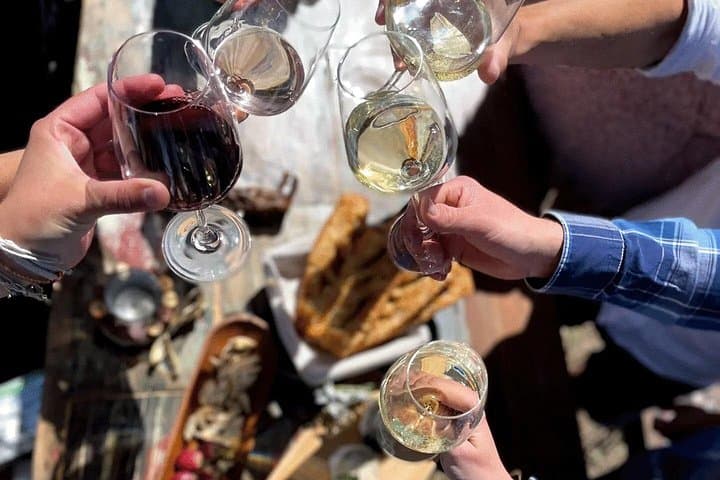 Camargue Sand Wine Tour: Half-Day Tasting with Flamingos & Vineyards photo 2