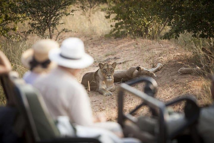 3-Day Kapama Southern Camp Safari: Big 5 Game Drives near Kruger photo 1