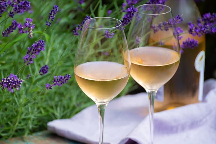 Full-Day Private Provence Wine Tour from Nice — Chateau Tastings & Vineyard Lunch photo 3