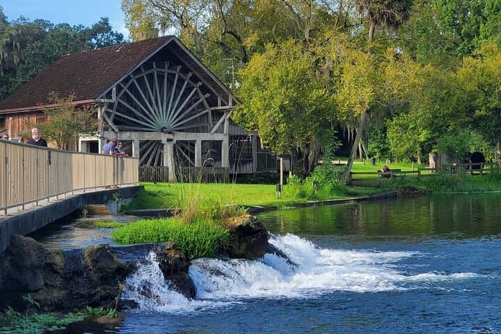 DeLeon Springs River Boat Tour: Spring-Fed Wildlife Cruise from DeLand, FL photo 5