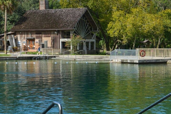 DeLeon Springs River Boat Tour: Spring-Fed Wildlife Cruise from DeLand, FL photo 6