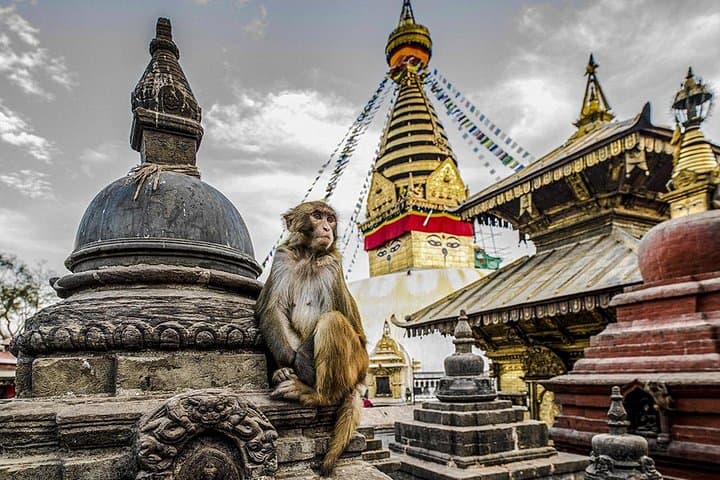 Private Kathmandu Tour: Visit 4 UNESCO World Heritage Sites in One Day photo 1