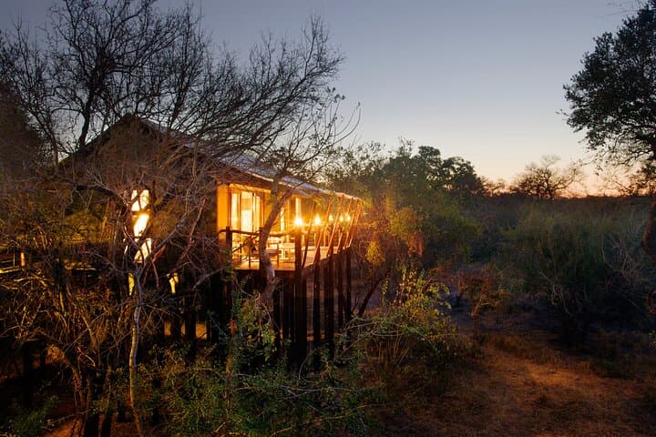 3-Day Kapama Buffalo Camp Safari: Big 5 Game Drives Near Hoedspruit