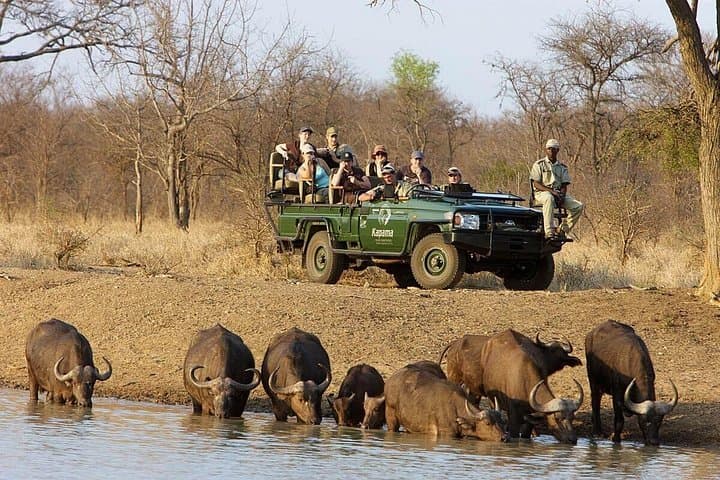3-Day Kapama Karula Lodge Small-Group Big 5 Safari in Kapama Private Game Reserve photo 3