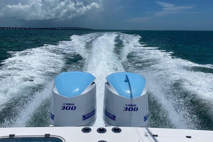 Private 3‑Hour Snorkel Cruise from Marathon, Florida — Sombrero Reef & Sandbar photo 6
