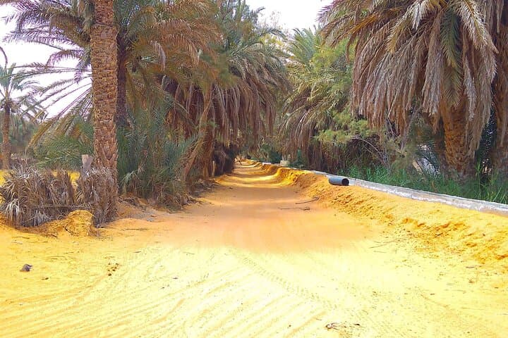 Ksar Ghilane Day Trip from Djerba: Oasis, Dunes & Camel Rides photo 2
