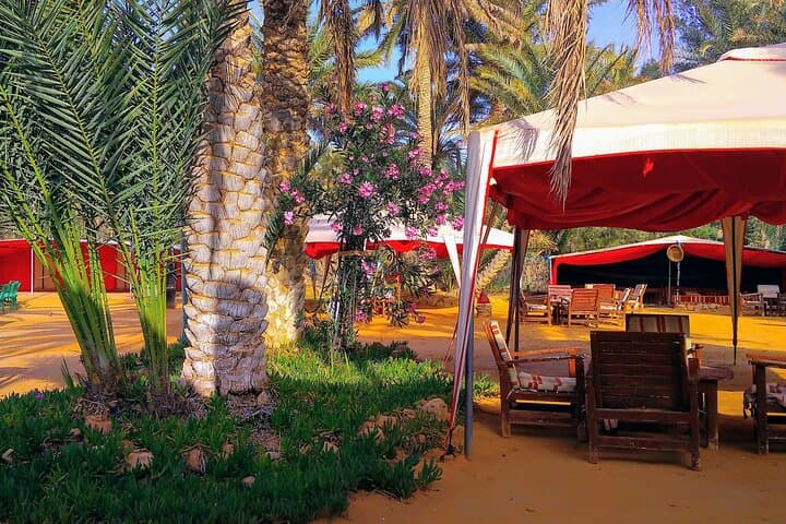 Ksar Ghilane Day Trip from Djerba: Oasis, Dunes & Camel Rides photo 3