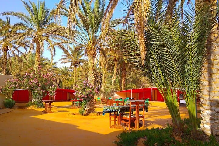 Ksar Ghilane Day Trip from Djerba: Oasis, Dunes & Camel Rides photo 4