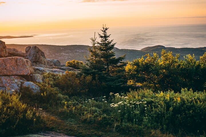 Experience Sunrise on Cadillac Mountain: Half-Day Private Tour & Hike in Acadia National Park photo 3