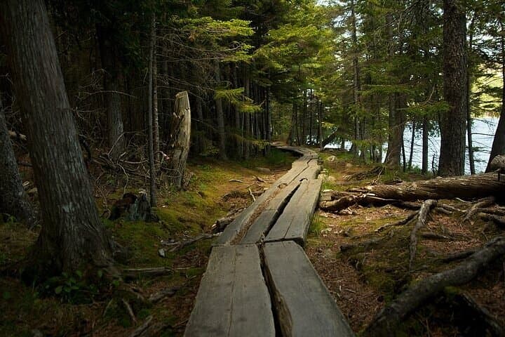 Experience Sunrise on Cadillac Mountain: Half-Day Private Tour & Hike in Acadia National Park photo 6