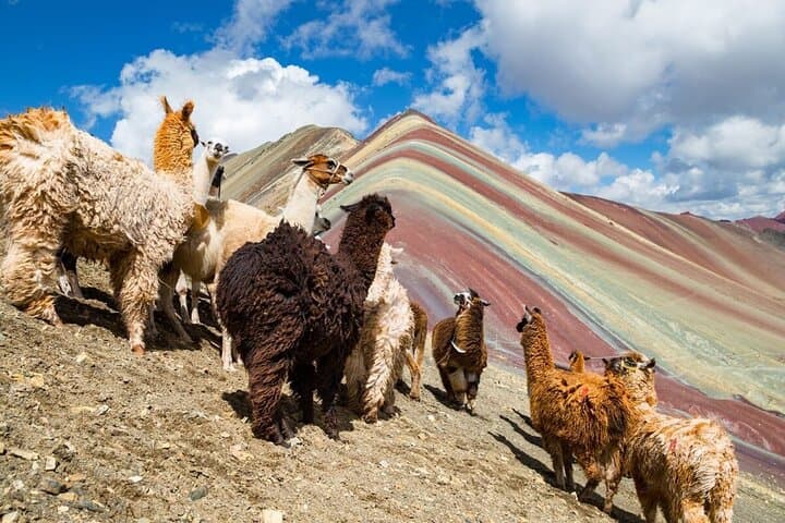 ATV Tour to Rainbow Mountain and Red Valley from Cusco photo 3