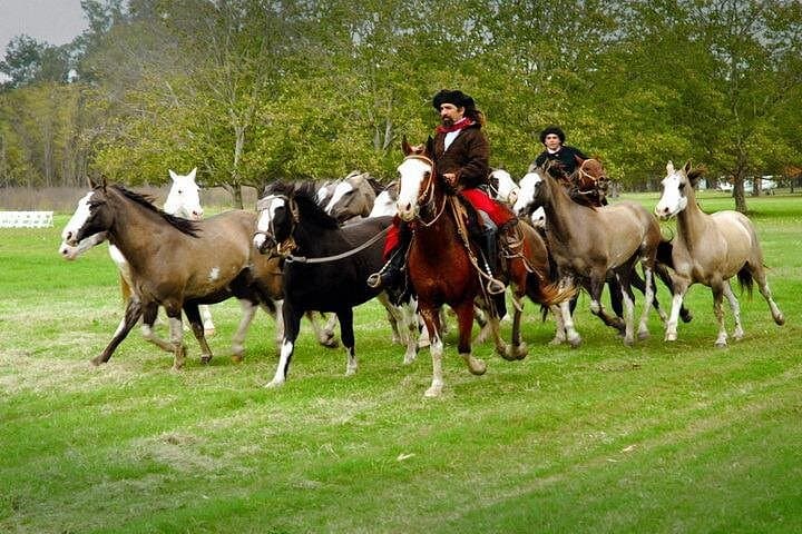 Gaucho Day Trip to Estancia La Candelaria from Buenos Aires — Horse Shows & Asado