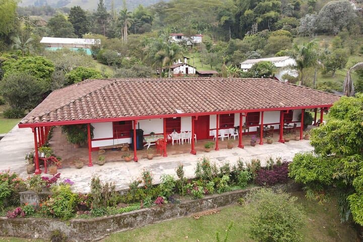 Half-Day Coffee Farm Tour Near Medellín — From Seed to Cup photo 1
