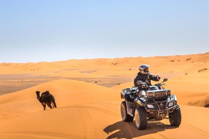 Dubai Desert Safari: Private 4x4 Dune Ride, 30-Min Quad & Camel Experience photo 5