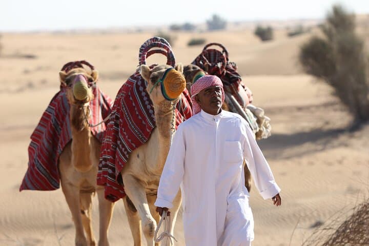 Dubai Desert Safari: Private 4x4 Dune Ride, 30-Min Quad & Camel Experience photo 6