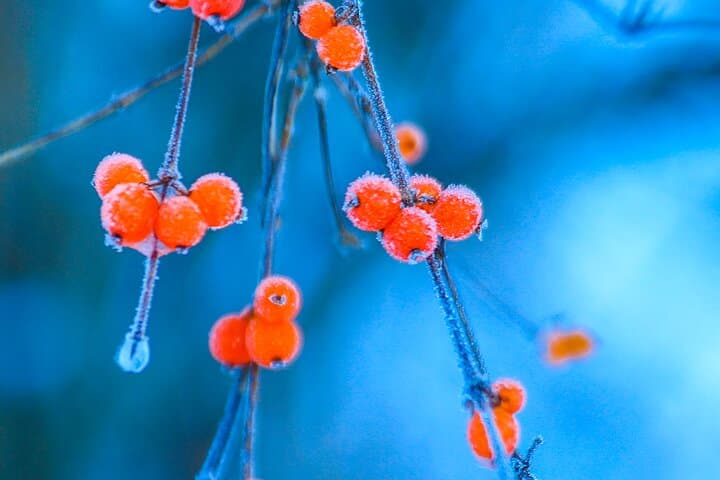 Jiuzhaigou & Huanglong in Three Days: A Practical Guide to Sichuan’s Terraced Valleys photo 6