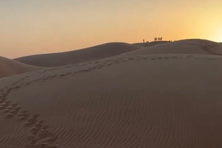 Salalah Desert Sunset Private Tour: Frankincense Groves, Ubar & Dune Driving photo 2