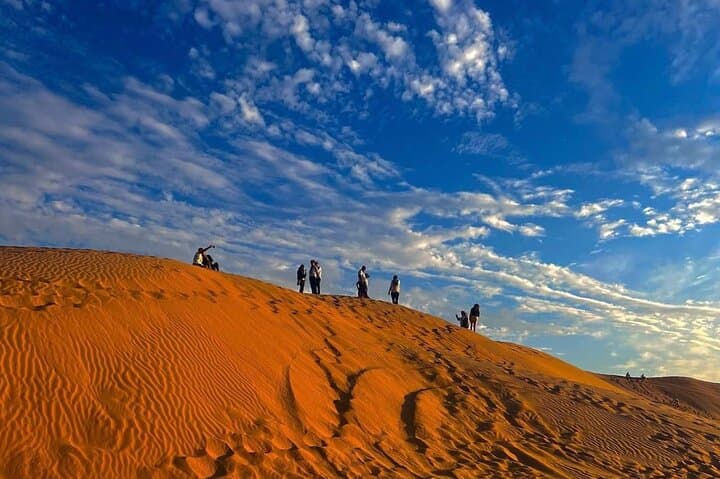 Salalah Desert Sunset Private Tour: Frankincense Groves, Ubar & Dune Driving photo 3
