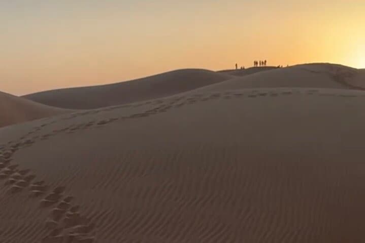 Salalah Desert Sunset Private Tour: Frankincense Groves, Ubar & Dune Driving photo 4