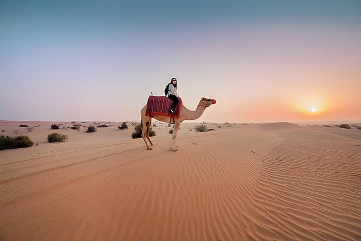 Dubai Morning Desert Safari: Quad Bike, Dune Bashing, Camel Ride & Sandboarding photo 3