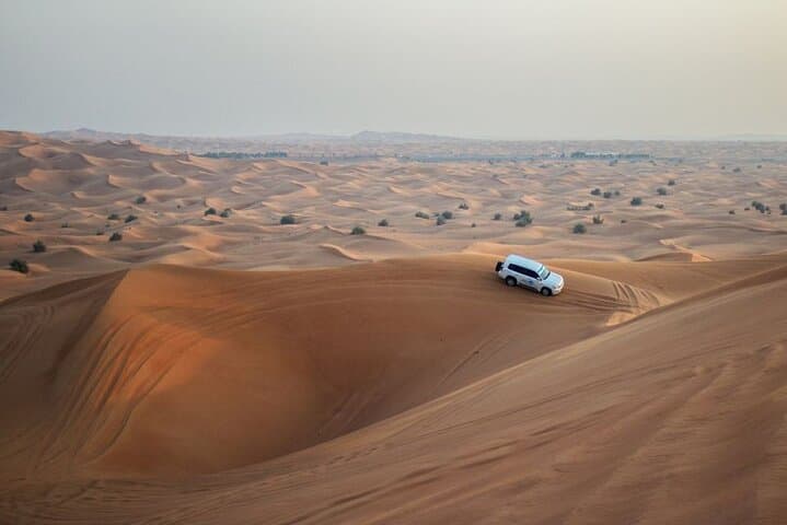 Dubai Morning Desert Safari: 4-Hour Private Dune-Bashing, Camel Ride & Sandboarding photo 2
