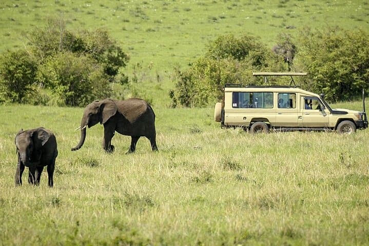 Nairobi to Masai Mara: 4x4 Land Cruiser Transfer photo 4