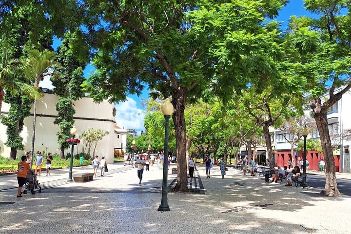 Funchal City & Madeira Wine Walking Tour — 2-Hour Market Stroll & Tasting photo 5