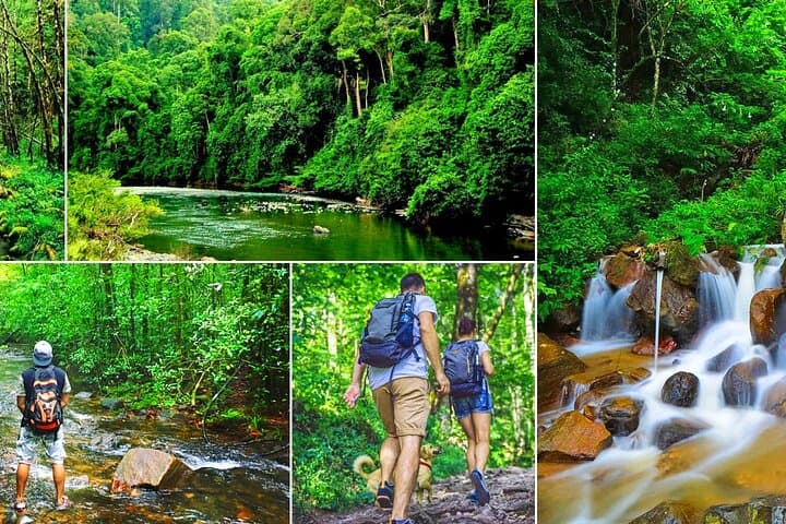 Sinharaja Rainforest Day Trek from Udawalawa — Guided Wildlife & Birdwatching Tour photo 1