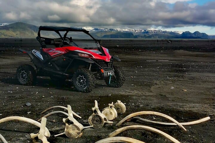 Private South Coast & Black Beach Buggy Tour — Seljalandsfoss, Reynisfjara & Sólheimajökull photo 3