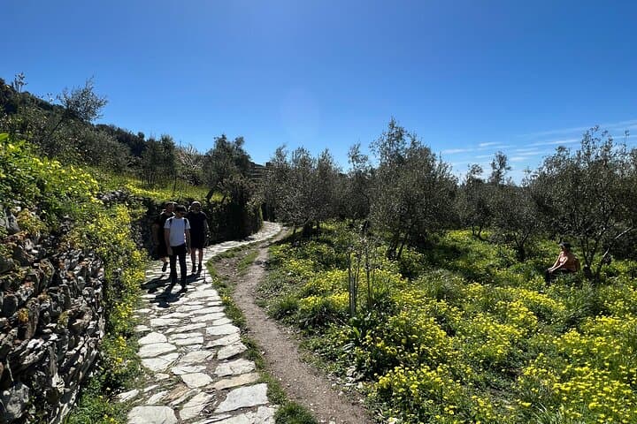 Private Guided Cinque Terre Hiking Day Trip from Florence photo 6