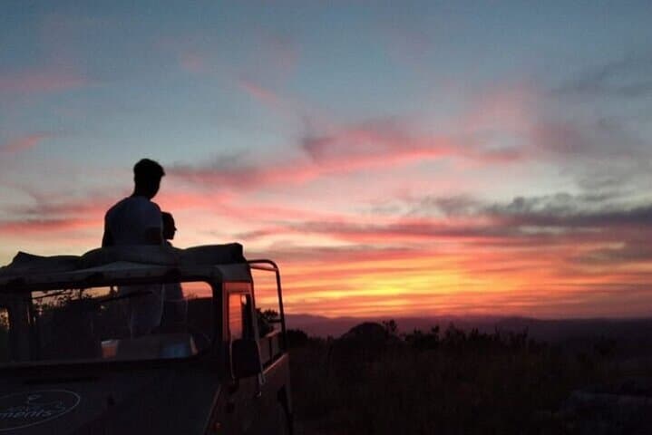 Sinai Desert Buggy Safari from Sharm El Sheikh: Sunrise & Sunset Dune Ride photo 6