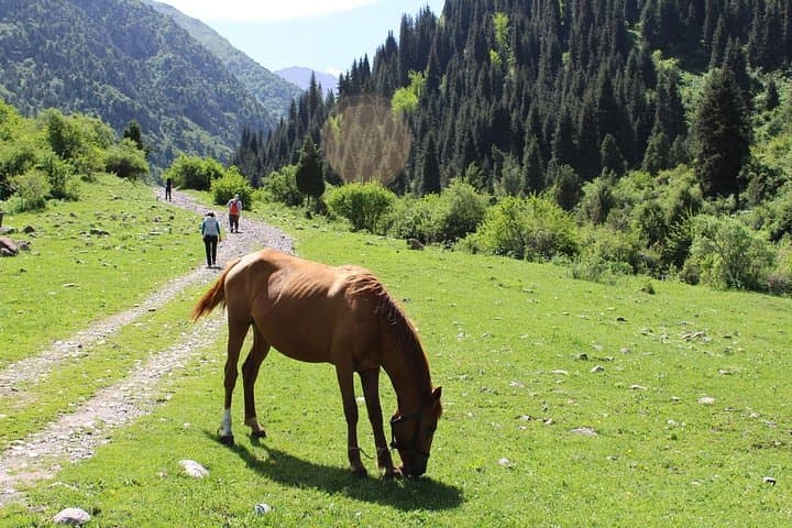 Kol Tor Lake Hike and Burana Tower Day Trip from Bishkek photo 4