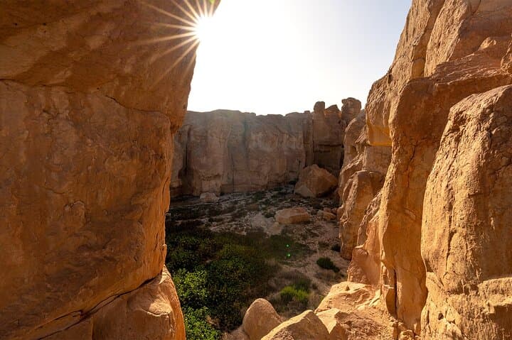 Private Day Tour to Al Qarah Hill & Jawatha Mosque (Al‑Ahsa) from Riyadh — Complete Guide photo 1
