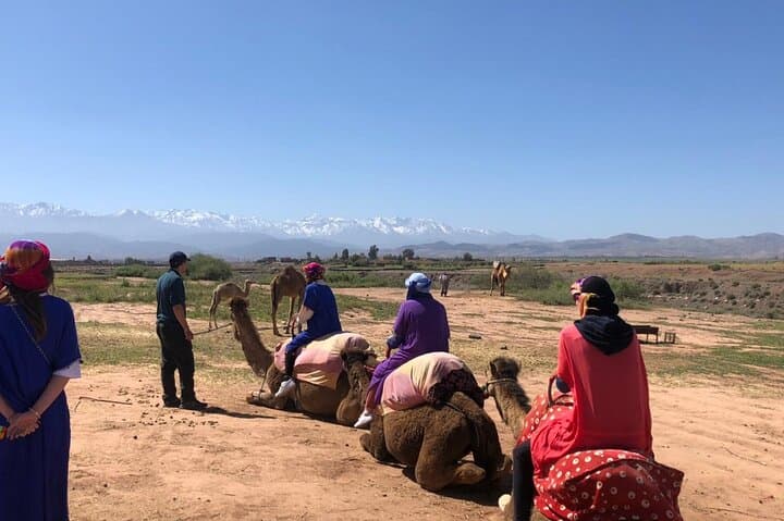 Agafay Desert Evening: Quad Biking, Camel Ride & Dinner Under the Stars