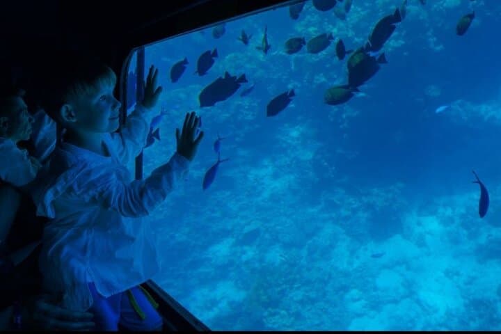 Sharm El-Sheikh Semi-Submarine Tour: Red Sea Coral Cruise