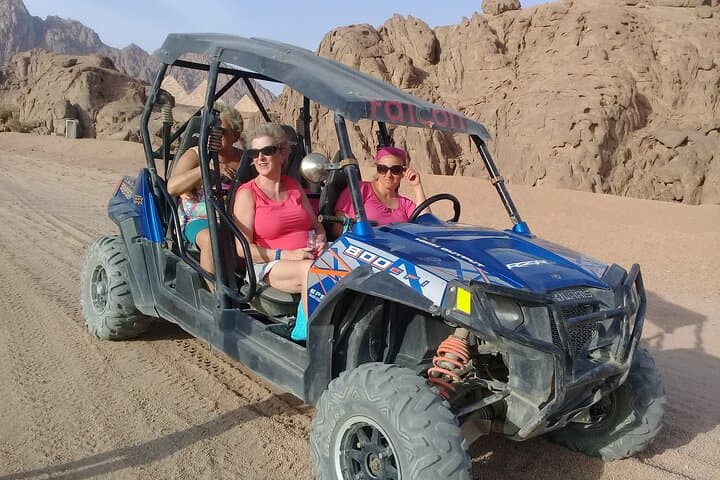 Sinai Desert Family Buggy Adventure from Sharm El Sheikh photo 5