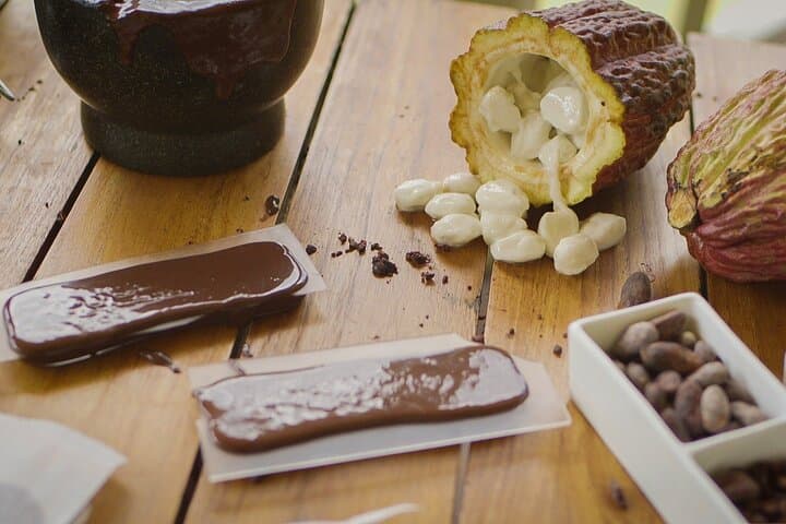 Rabot Estate Bean-to-Bar: Hands-On Chocolate Tour in St. Lucia photo 3