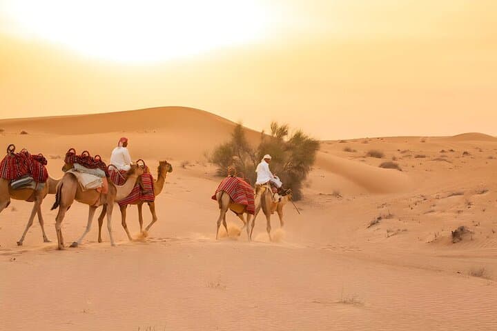 Dubai Desert Explorer: Dune Bashing, Camel Rides & Evening Desert Show photo 5