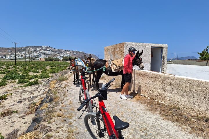South Santorini E‑Bike Tour: Tomato Museum, Black Beach & Venetian Castle photo 6
