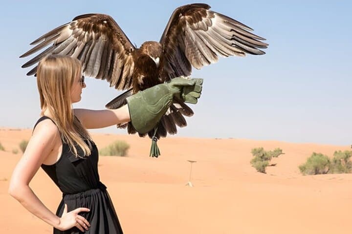 Dubai Desert Explorer: Dune Bashing, Camel Rides & Evening Desert Show photo 3