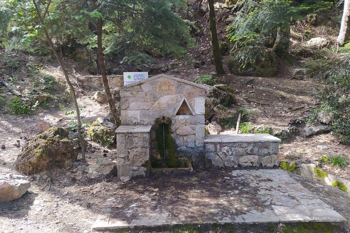 Parnitha Day Hike from Athens: Private 9km Mountain Trail with Panoramic Views photo 3